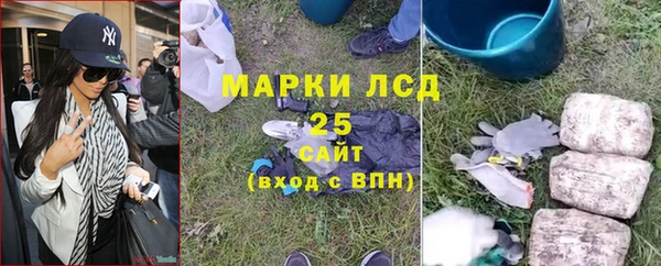 шишки Алексин