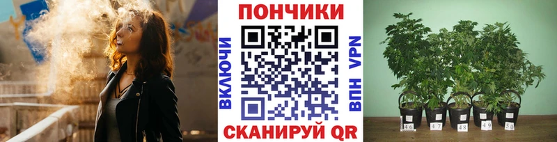 купить Черемхово Марихуана VHQ